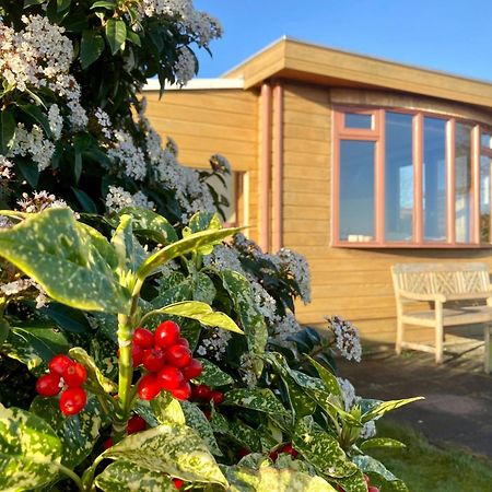 3 Pers. Holiday Home Sonnenschein With Fenced Garden And Infrared Sauna Anjum Eksteriør bilde