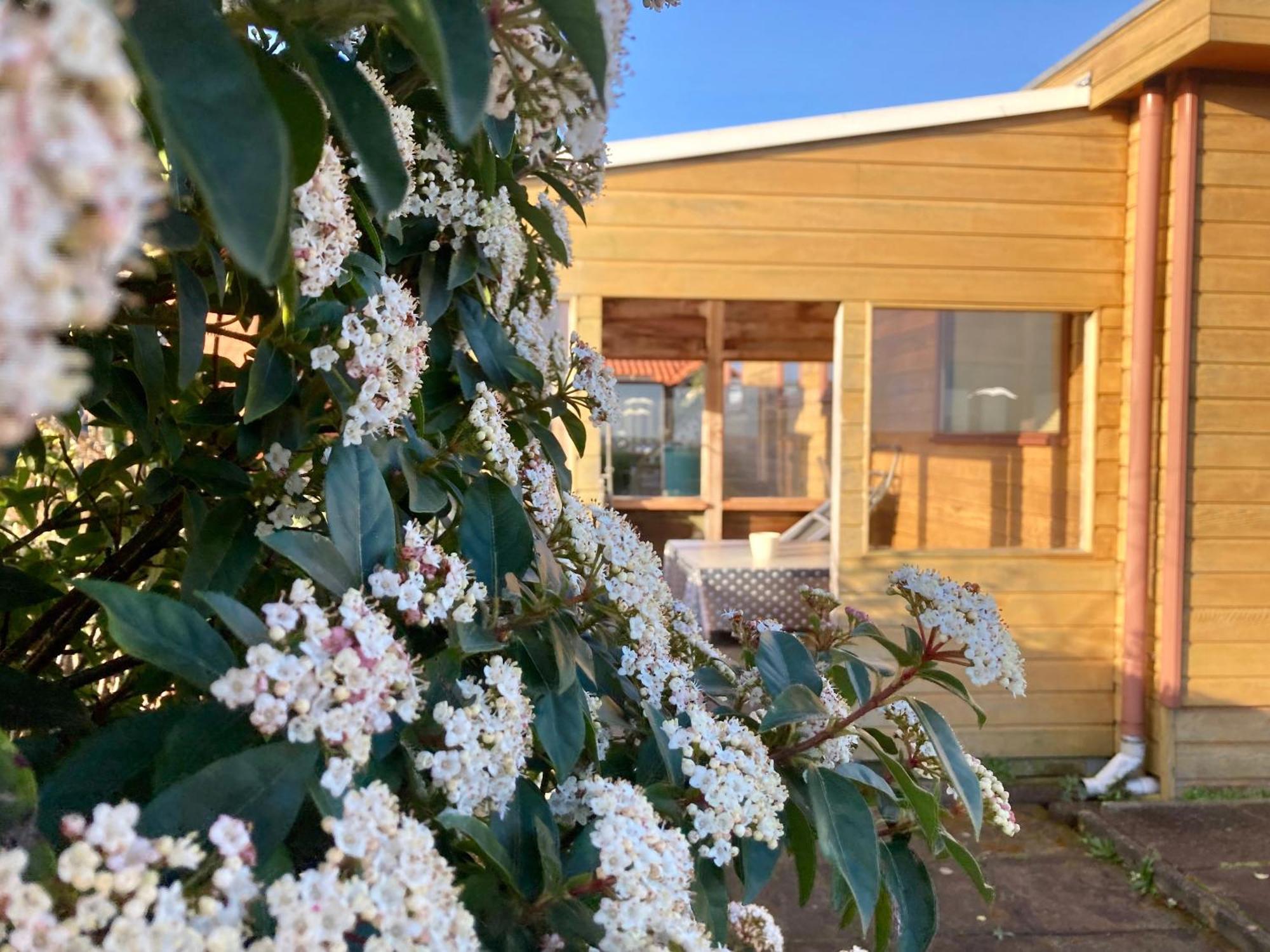 3 Pers. Holiday Home Sonnenschein With Fenced Garden And Infrared Sauna Anjum Eksteriør bilde